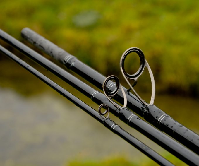 Blackthorne Pro C-Feeder Specimen Method