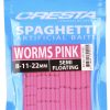 Spaghetti Worms