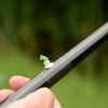 Flatside Soft Pullerbeads (3 sizes)