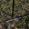 Spicked Measure Sticks