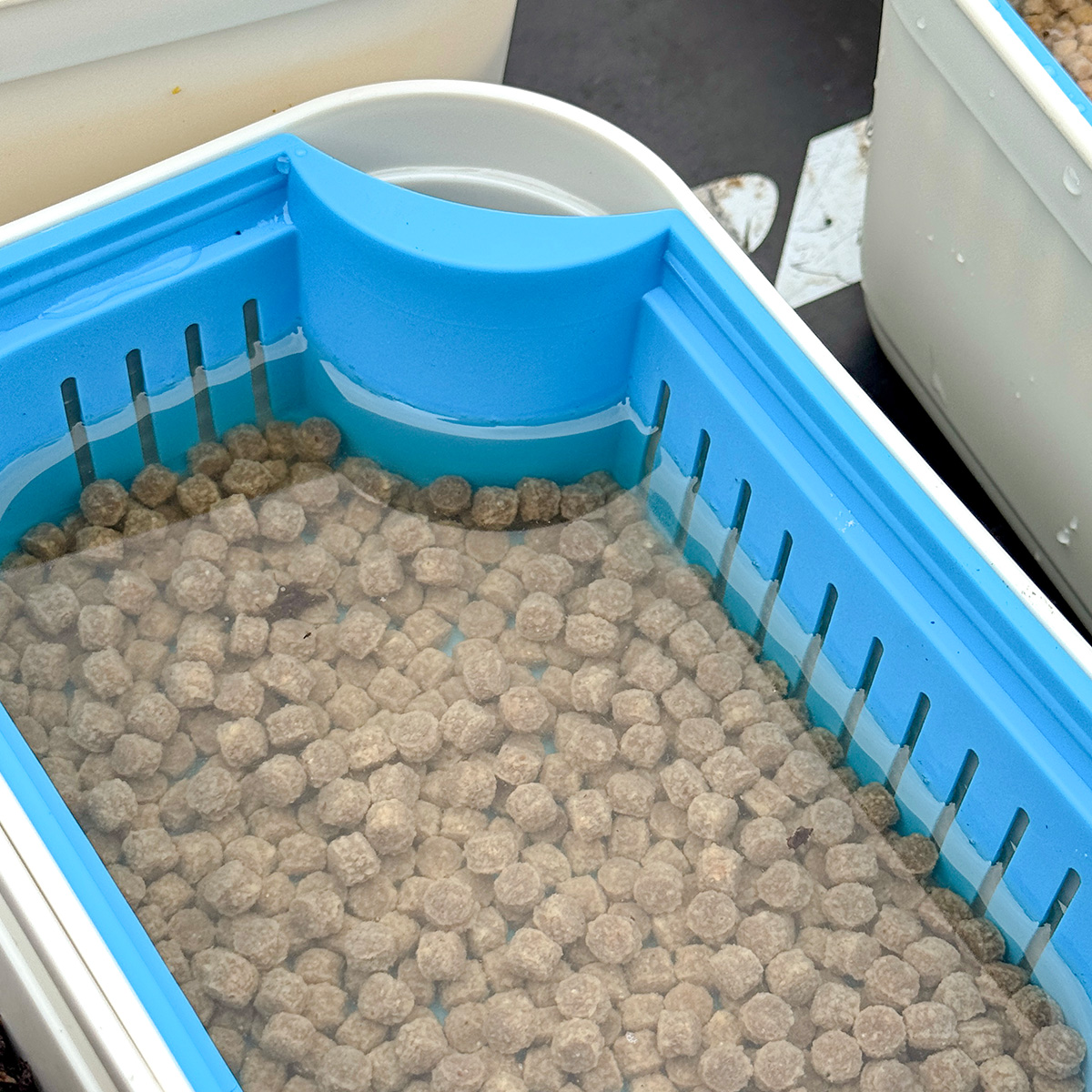 Bait Tubs 600 ml Closed Lid +Drain